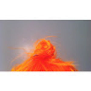 Meet your Posher, Shelby